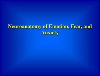 Neuroanatomy of Emotion, Fear, and Anxiety