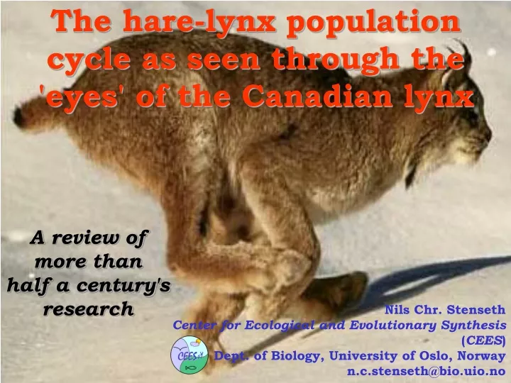 the hare lynx population cycle as seen through the eyes of the canadian lynx
