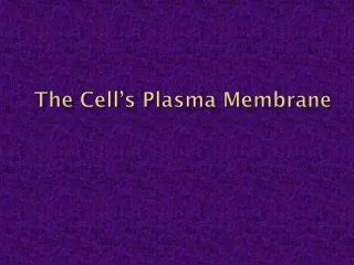 The Cell’s Plasma Membrane