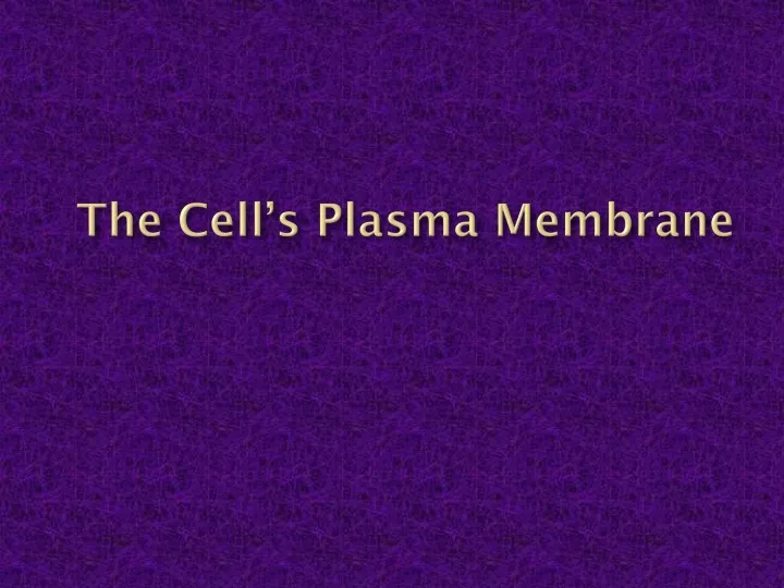 the cell s plasma membrane