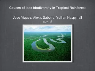 Causes of loss biodiversity in Tropical Rainforest