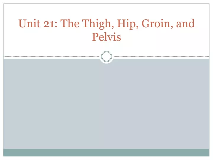 unit 21 the thigh hip groin and pelvis