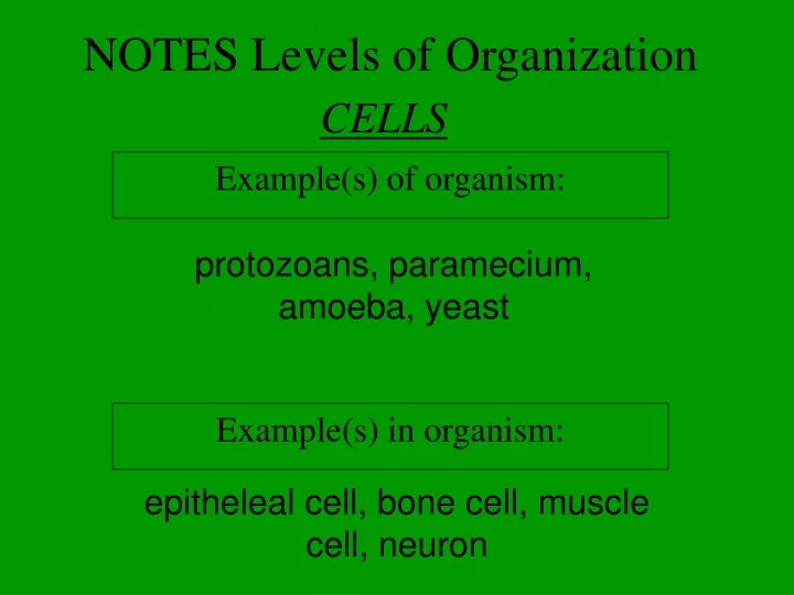 notes levels of organization