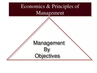 Economics &amp; Principles of Management