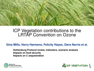 ICP Vegetation contributions to the  LRTAP Convention on Ozone