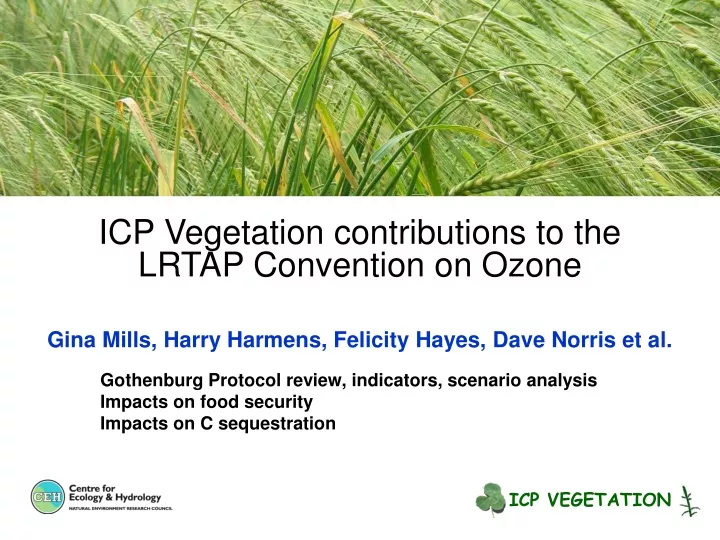 icp vegetation contributions to the lrtap