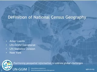 Definition of National Census Geography