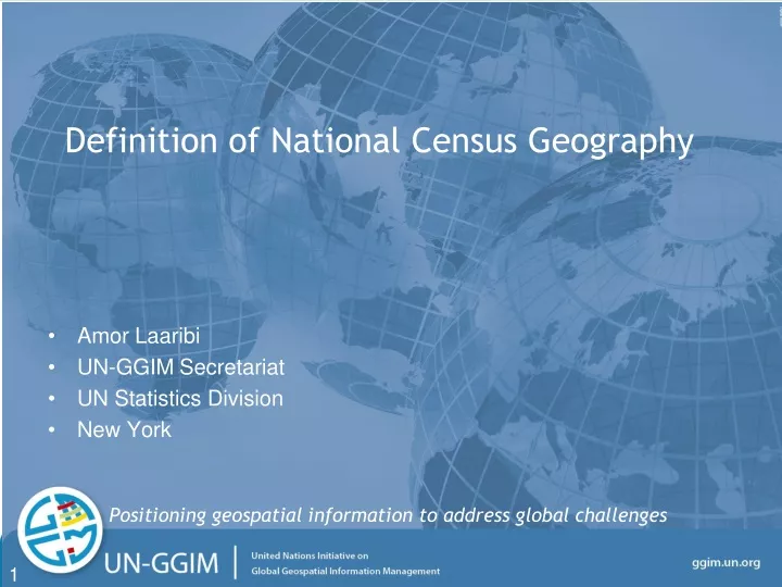 definition of national census geography
