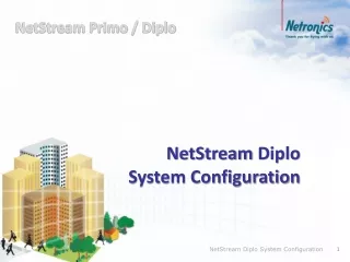 NetStream  Diplo  System Configuration