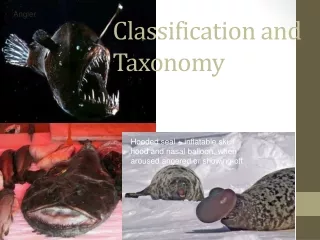 Classification and Taxonomy