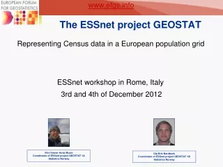 The ESSnet project GEOSTAT