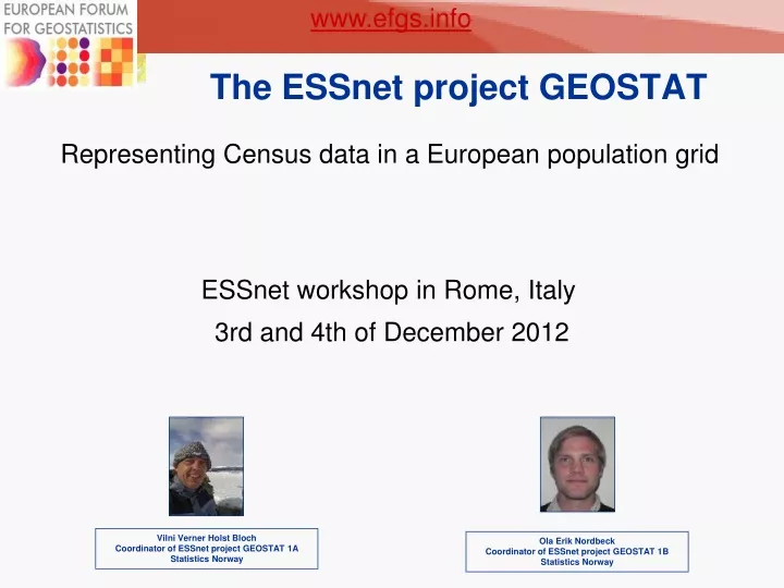 the essnet project geostat