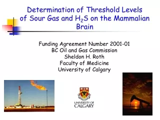 Determination of Threshold Levels  of Sour Gas and H 2 S on the Mammalian Brain
