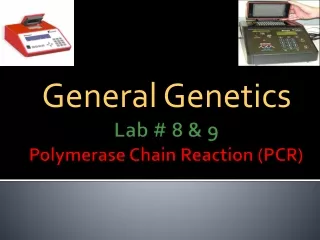 Lab # 8  &amp; 9 Polymerase Chain Reaction (PCR)