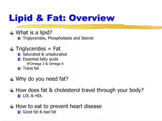 Lipid &amp; Fat: Overview