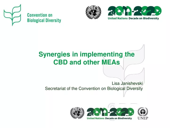 synergies in implementing the cbd and other meas