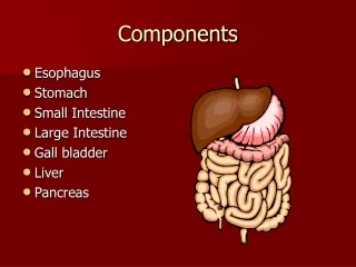 Components