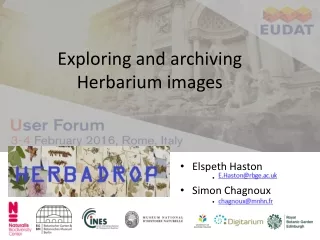 Exploring and archiving Herbarium images
