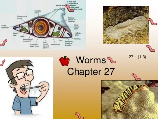 Worms Chapter 27