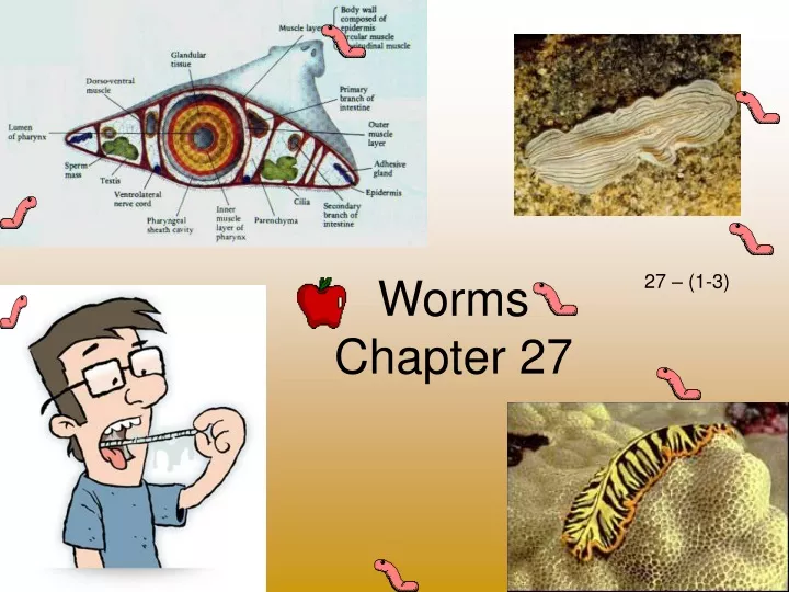 worms chapter 27