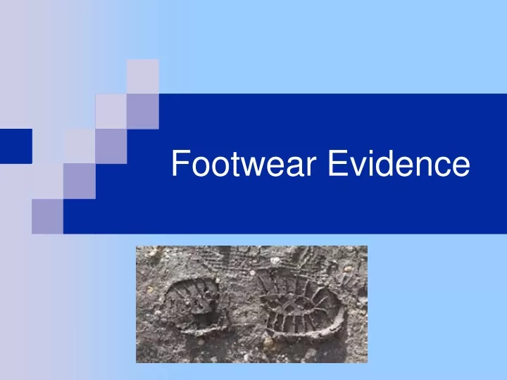 footwear evidence