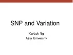 Single Nucleotide Polymorphisms: Nature, Classification, and Impact - slide 1