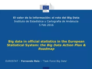 EUROSTAT –  Fernando Reis  – 'Task Force Big Data'