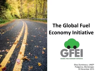 The Global Fuel Economy Initiative