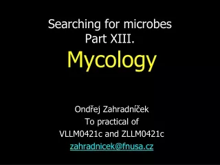 Searching for microbes Part XIII.  Mycology