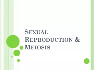 Sexual Reproduction &amp; Meiosis