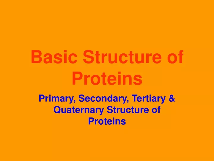basic structure of proteins