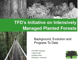 TFD’s Initiative on Intensively    Managed Planted Forests