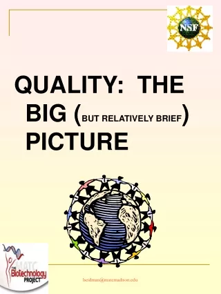 QUALITY:  THE BIG ( BUT RELATIVELY BRIEF ) PICTURE