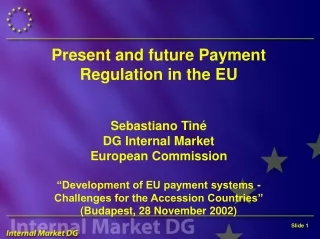 Present and future Payment Regulation in the EU  Sebastiano Tiné DG Internal Market