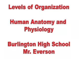 Levels of Organization Human Anatomy and  Physiology Burlington High School Mr. Everson