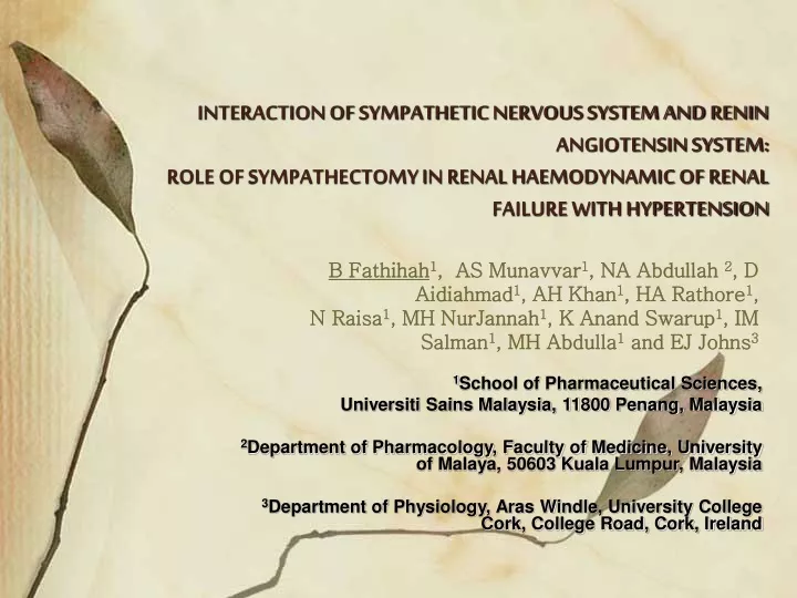 interaction of sympathetic nervous system