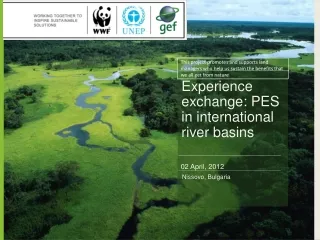 Experience exchange: PES in international river basins