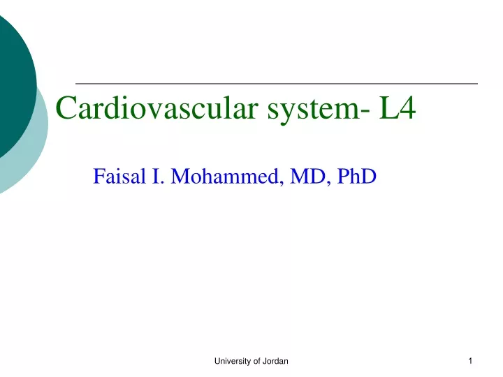 cardiovascular system l4