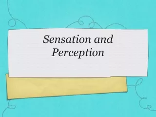 Sensation and Perception