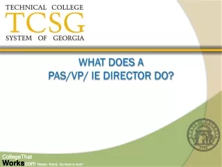 What does a PAS/VP/ IE Director do?