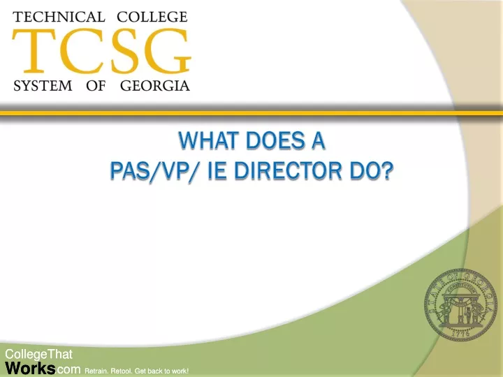 what does a pas vp ie director do