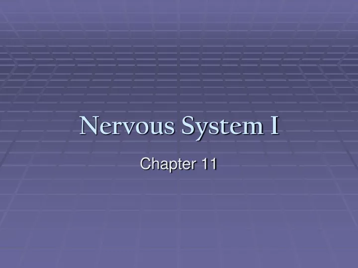 nervous system i