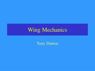 Wing Mechanics