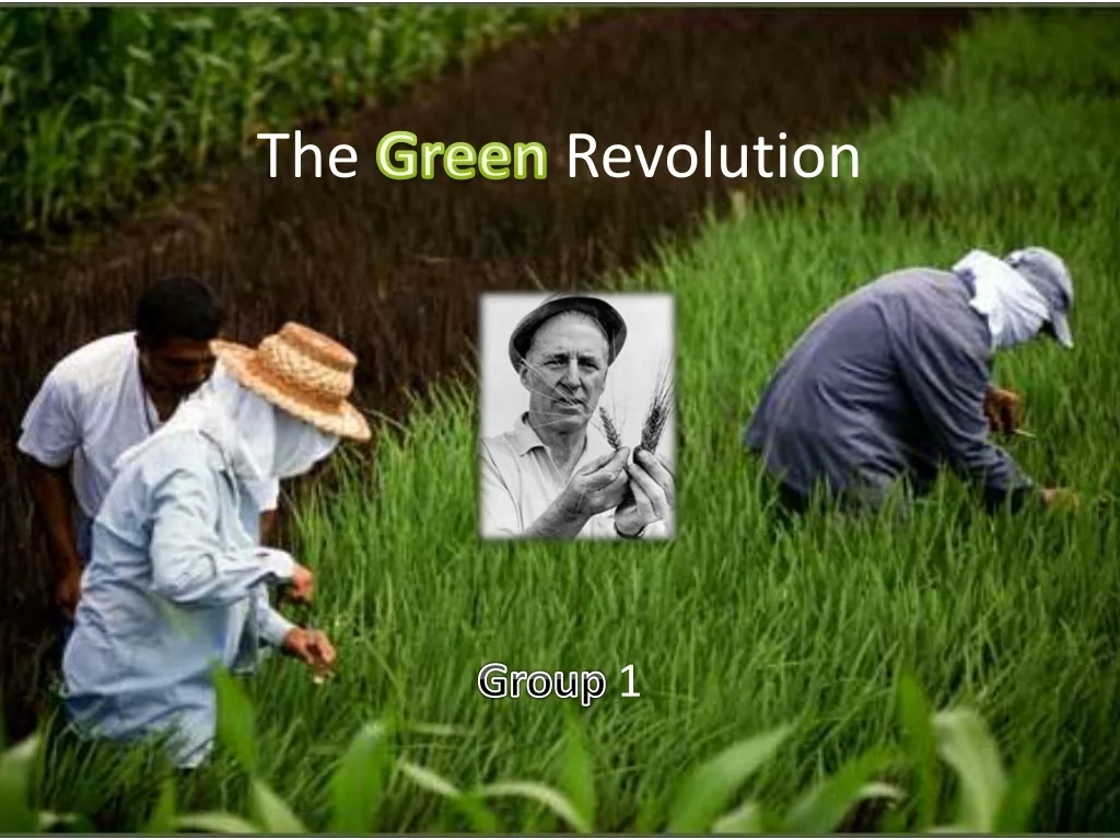 PPT - The Green Revolution PowerPoint Presentation, free download - ID ...