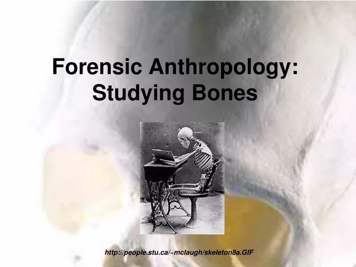 forensic anthropology studying bones