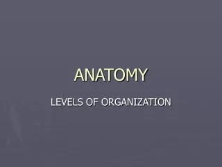 ANATOMY