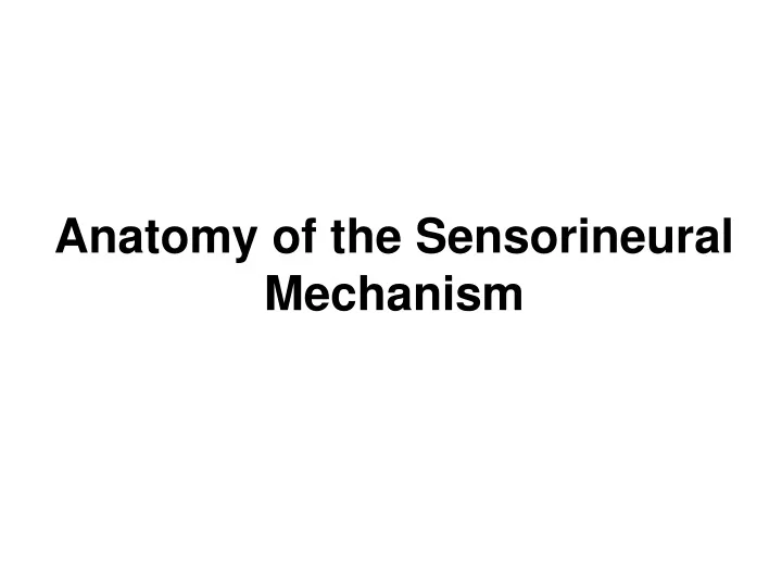 anatomy of the sensorineural mechanism