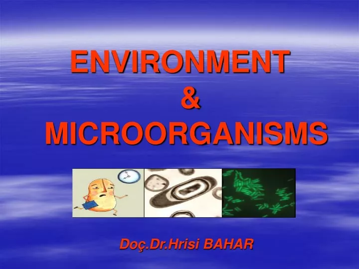 environment microorganisms