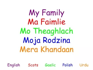 My Family Ma Faimlie Mo Theaghlach Moja Rodzina Mera Khandaan