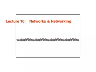 Lecture 10: 	 Networks &amp; Networking